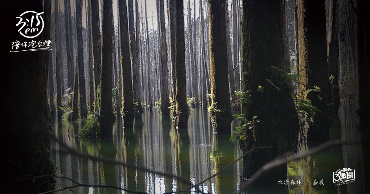 Aqua Forest｜Alishan, Chiayi